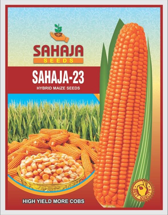 Sahaja-23