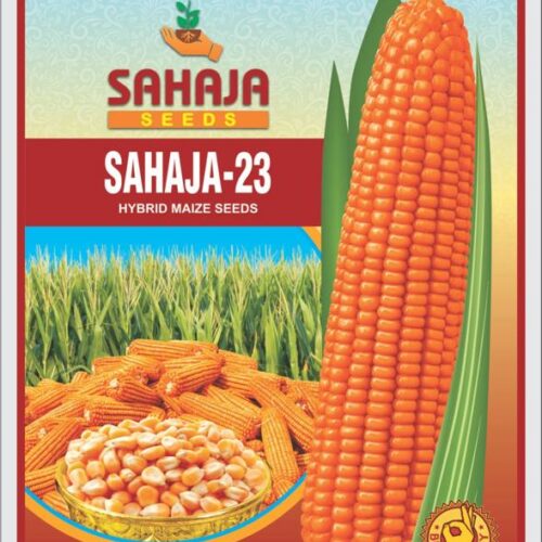 Sahaja-23 (Maize)